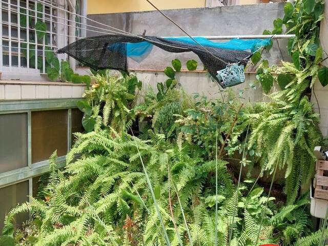 Casa para Venda em São Paulo - 4