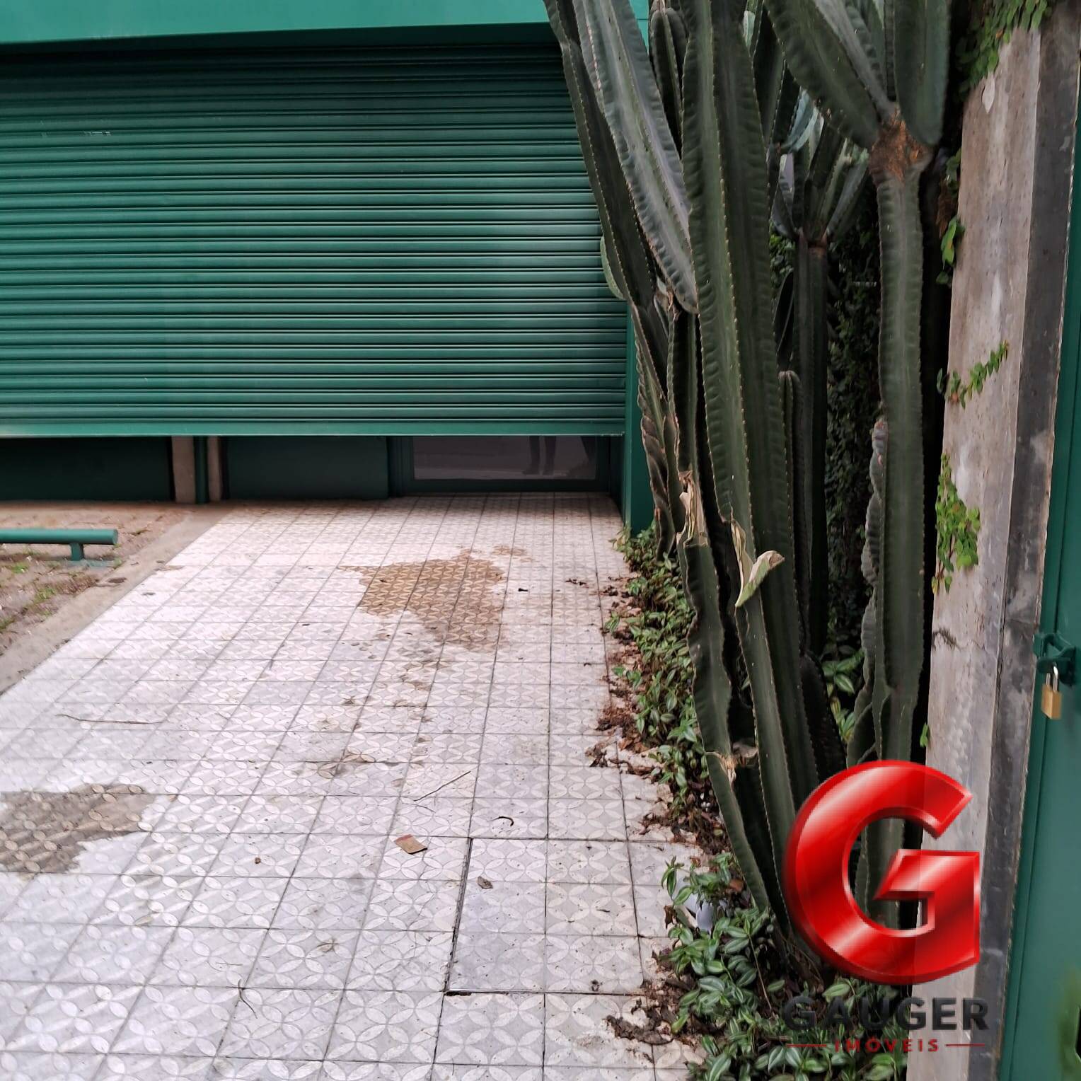 Casa, 6 quartos, 220 m² - Foto 5